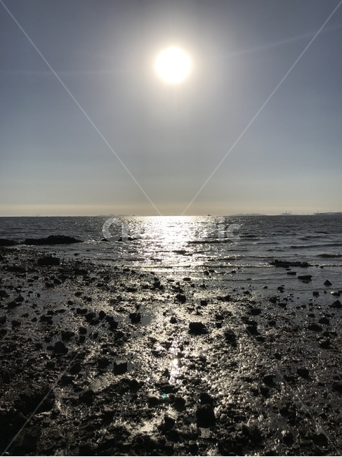 서해,바다와태양,바다,태양,뻘,자연,풍경,nature,landscape,light,빛,flare,플레어