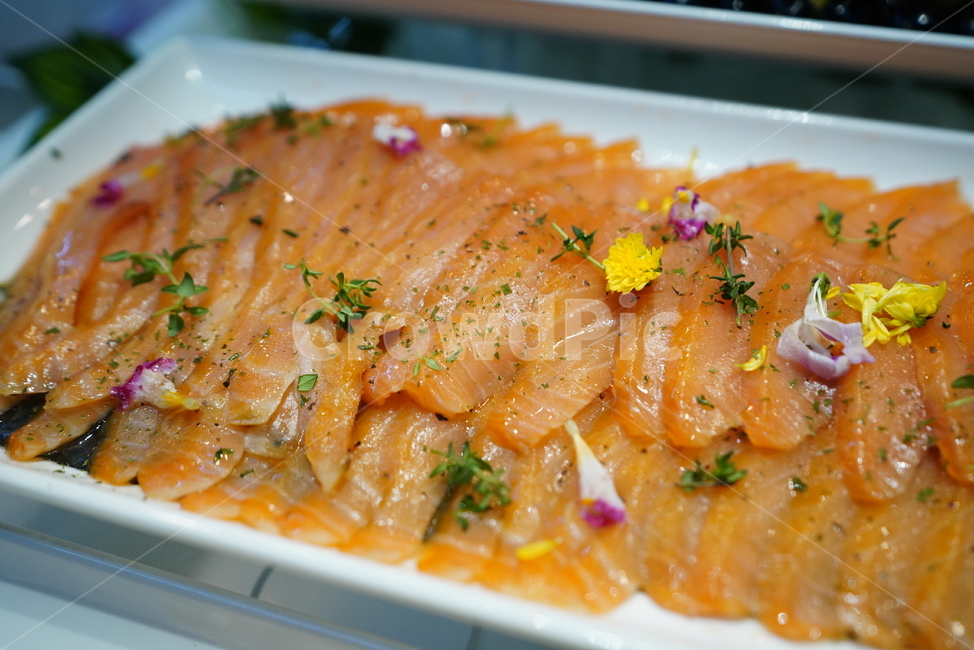 회,연어,식감,컬러,생선,음식,안주,먹거리,먹방,푸드,음식,식재료,요리,food,cook,meal,dishes,food reserves,수산물,해산물,fishery products,seafood