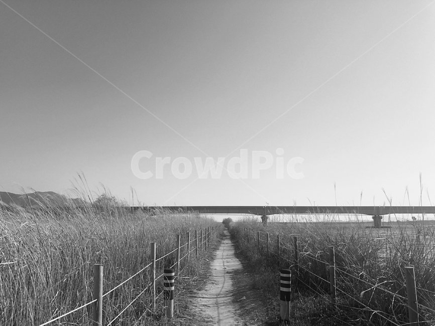 나무,nature,outdoors,옥외,feeling