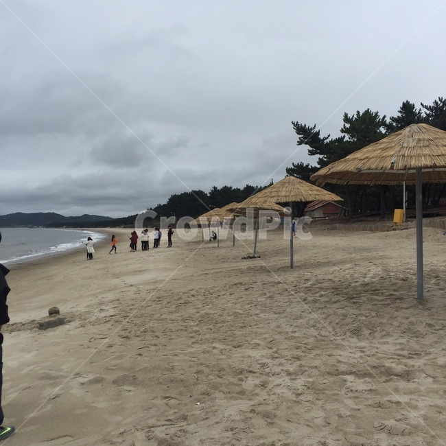 해변,파라솔,물가,해수욕장,모레,모래,백사장,모래사장,모레사장,바다,바닷가,해변,바다,beach,sea,사람들,대중,군중,other people,crowd