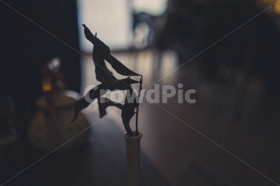 봄,카페,식물,휴식,힐링,풍경사진,감성사진,사물,오후,감성,landscape,cafe,식물,자연,plants,nature,감성,sensible,feeling