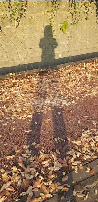 human,인간,person,사람,그림자,shadow