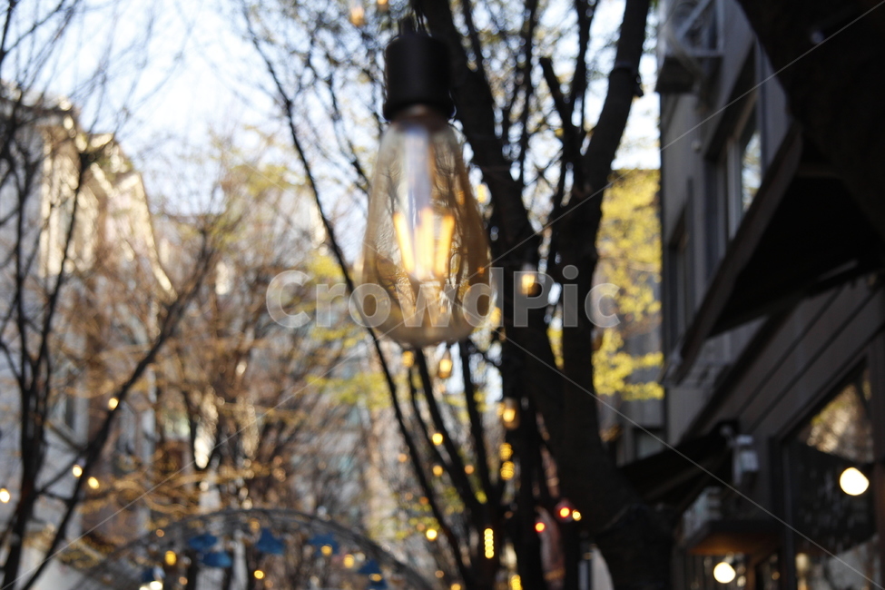 light,빛,전구,전등,불빛,전등빛
