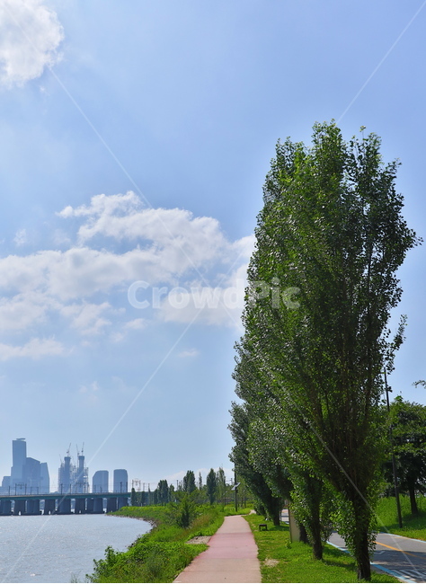 한강,풍경,나무,큰나무,하늘,구름,big,bigtree,자연,풍경,nature,landscape,grass,잔디,plant,식물,outdoors,옥외