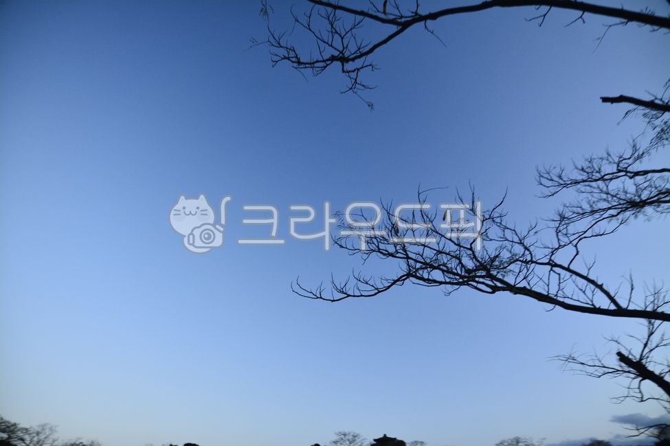 역광,그림자,실루엣,초저녁,감성,필링,feeling,풍경,자연,휴식,차가움,cool,채도,색감,silhouette,shadow