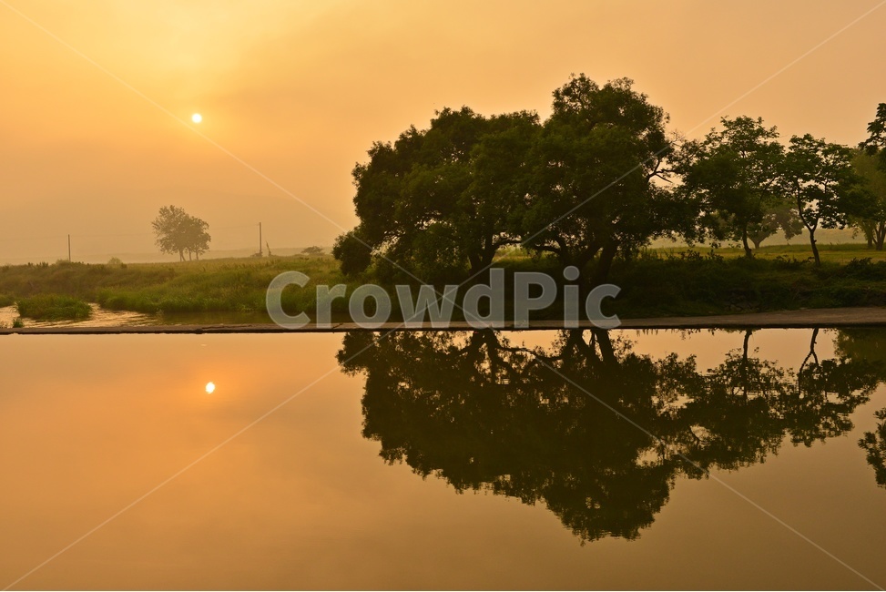 나주,남평,드들강,sunlight,햇빛,weather,날씨,tree,나무,plant,식물,nature,자연,outdoors,옥외,water,물,금계국,반영,드들강일출,일출,여명,해돋이
