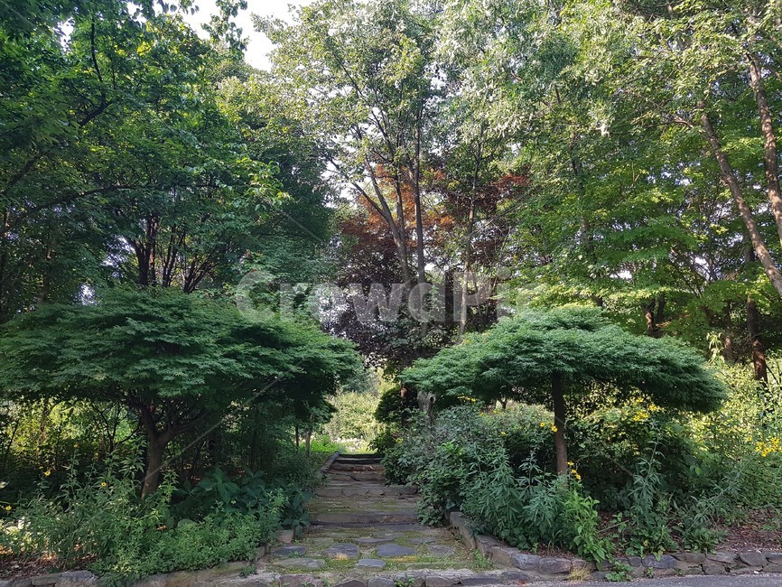 녹색,식물,나무,tree,plant,자연,풍경,nature,landscape,garden,정원,outdoors,옥외,arbour,정자