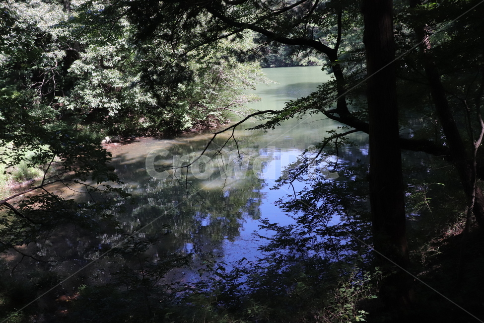 자연,풀,하늘,나무,풍경,강,비침,안락,자연,풍경,nature,landscape,land,땅,outdoors,옥외,water,물