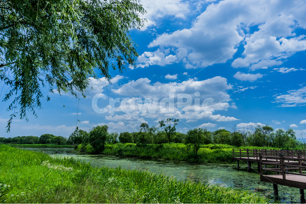 공원,하늘,구름,자연,나무,강,풀,숲,화명생태공원,다리,낙동강,sky,park,cloud,nature,wood,river,plants,forest,bridge,beautiful,view,자연,풍경,nature,landscape,outdoors,옥외,water,물
