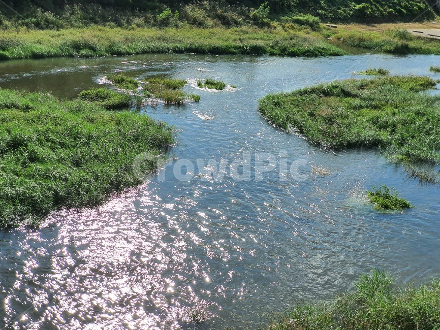 자연,물,옥외,땅,도랑,천,곤지암천,자연,풍경,nature,landscape,land,outdoors,water