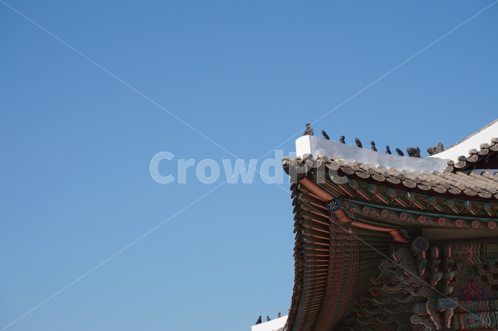 경복궁,한국,전통,파랑색,궁전,한국전통,한국문화,korean traditional,korean culture,건축물,건물외관,exterior,building,structure,architecture,construction