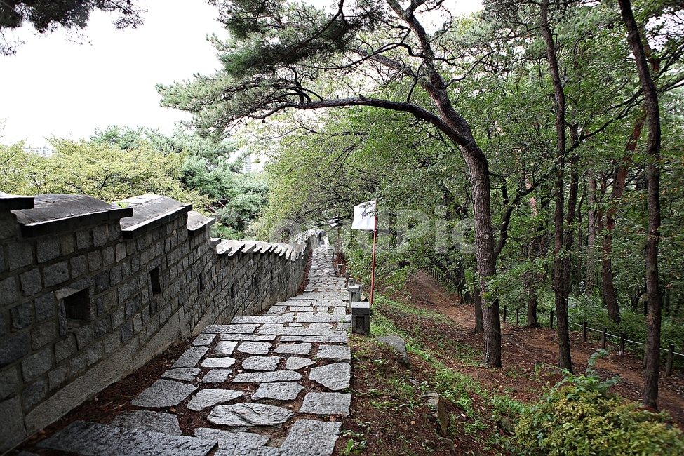 수원화성,성,성곽,길,둘레길,담,돌담,가을,자연,풍경,벽,방어벽,전통,흙담,식물,한국전통,한국문화,korean traditional,korean culture