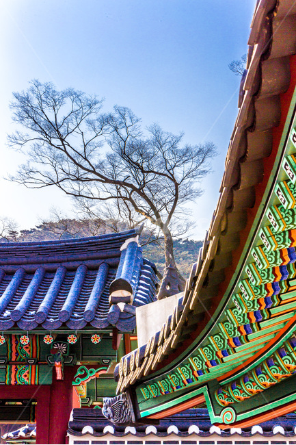 단청,선,패턴,채색,고궁,문화유산,건축,겨울,계절,winter,season,한국전통,한국문화,korean traditional,korean culture,건축물,건물외관,exterior,building,structure,architecture,construction