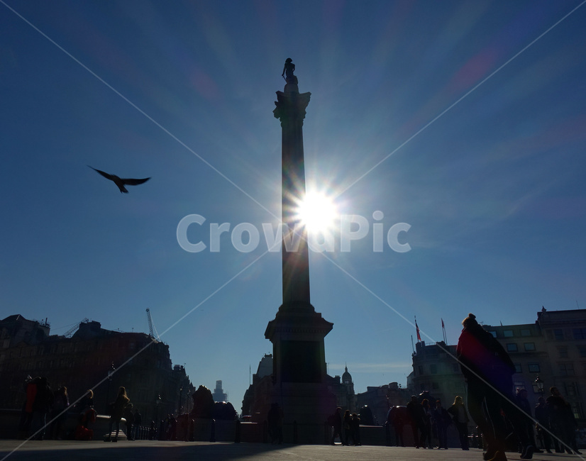 트라팔가광장,영국,역광,해,햇빛,sunshine,새,monument,기념물,architecture,건축물,building,건물,bird,animal,동물,person,사람,human,인간,광장,trafalgarsquare,england,unitedkingdom,british