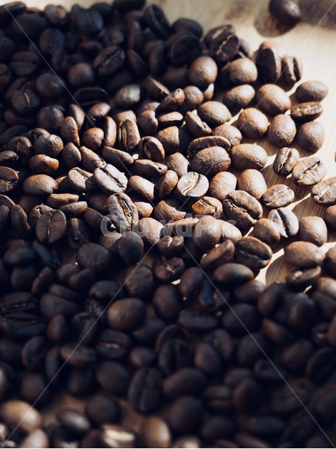 커피원두,원두,커피콩,로스팅원두,로스팅,커피,아메리카노,배경,음료,coffeebeans,coffeebean,roastingbeans,roasting,coffee,americano,background,beverage,커피,카페,coffee,cafe