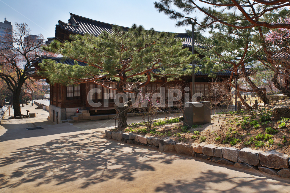 석어당,백골집,사적제124호,덕수궁,궁궐,한국전통,한국문화,korean traditional,korean culture,건축물,건물외관,exterior,building,structure,architecture,construction