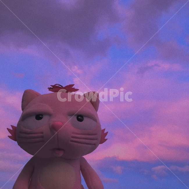 인형,노을,하늘,몽환,감성,동물,animal,포유류,mammal,고양이,cat,kitten,kitty