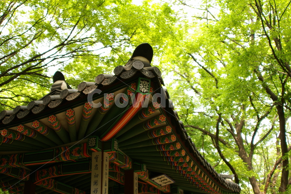 korea,한국,대한민국,색깔,무지개,전통,지붕,창경궁,왕,성,단청,king,castle,한국전통,한국문화,korean traditional,korean culture,건축물,건물외관,exterior,building,structure,architecture,construction