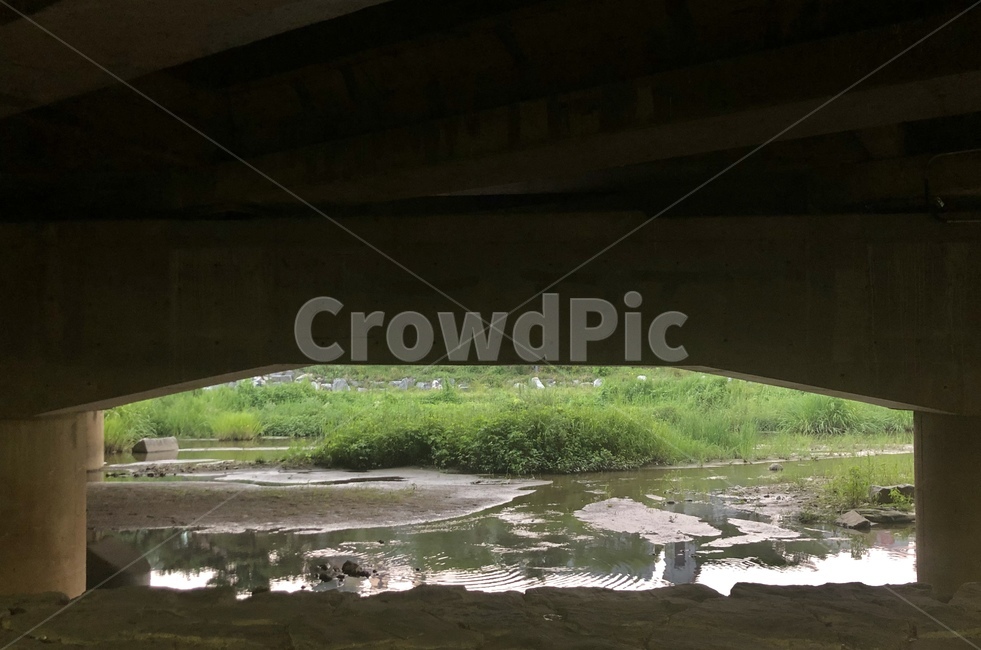 nature,outdoors,land,water,물,대전,갑천,인테리어,건축,건물,interior,design,자연,인테리어디자인,interiordesign,옥외,outdoor,색감,물결