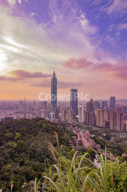 건물,산,나무,도시,대만,하늘,샹산,전망,도시,풍경,city,landscape,해외,외국,세계,foreign,oversea,world,세계도시풍경,해외도시풍경,외국도시풍경,world cityscape,색깔,색상,색채,색감,color sense,color sensitivity,feeling of color,building,town,시티,urban,어반,spire,첨탑,steeple,뾰족한 탑,architecture,건축물,tower,탑,metropolis,중심지