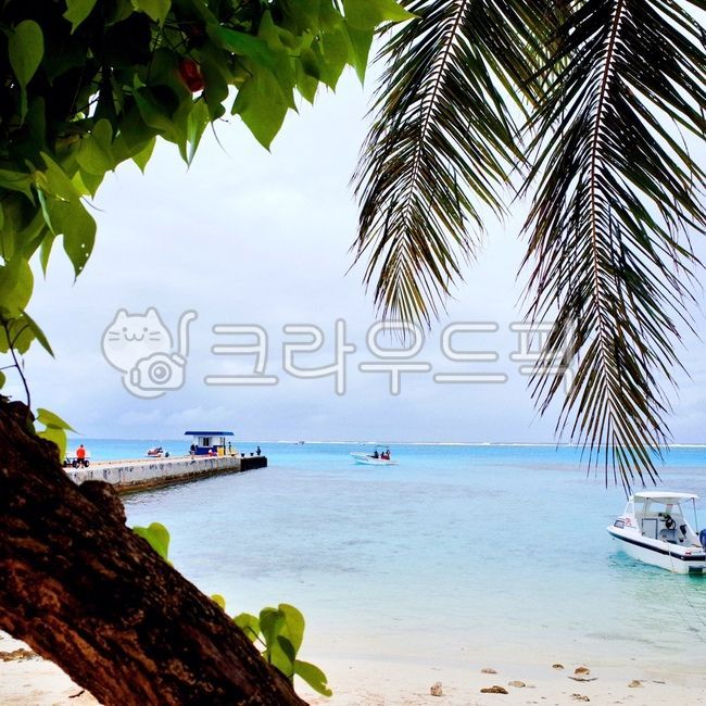 바다,섬,휴양지,summer,여름,nature,자연,해안선,shoreline,옥외,outdoors,water,ocean,대양,boat,보트,야자수