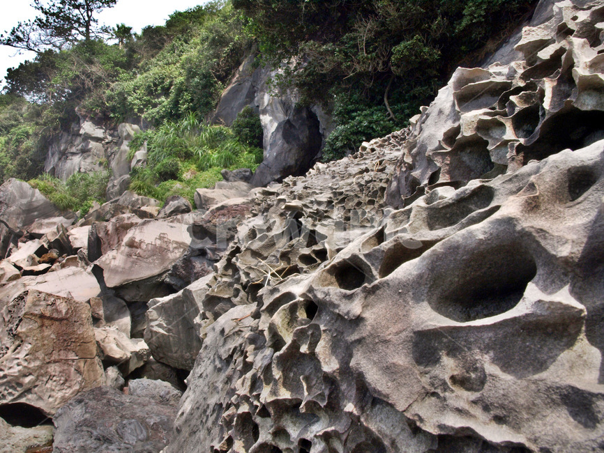 현무암,화산,용암,돌,판상,탄상,제주,자연,풍경,nature,landscape,제주도,jeju,jeju island