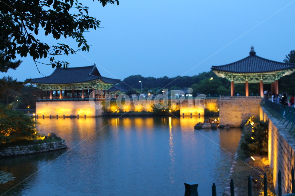 건축물,architecture,경주,전통,안압지,건물,한국,korea,야경