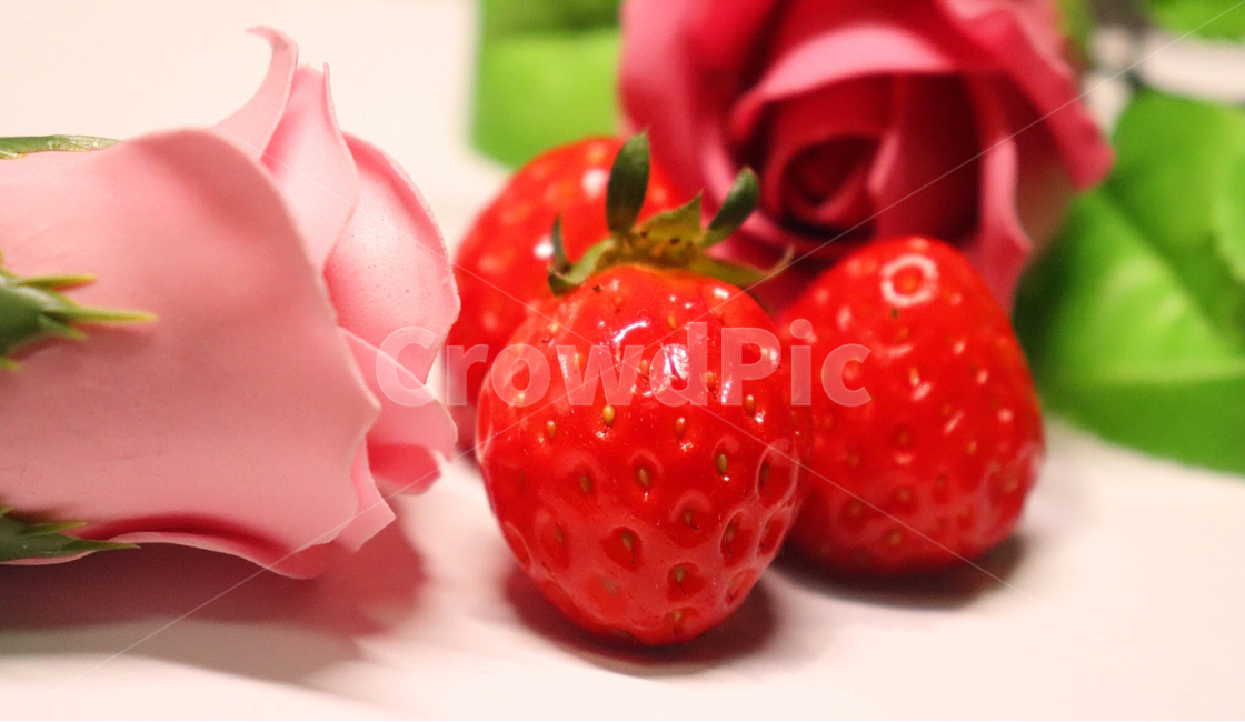 딸기,장미,빨간장미,분홍장미,strawberry,rose,red,pink,감성적인