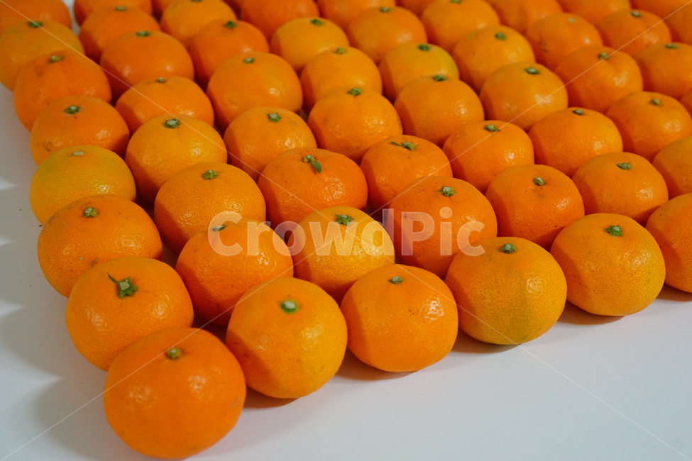 귤,과일,음식,식물,감귤류과일,fruit,음식,식재료,요리,food,cook,meal,dishes,food reserves,과일,열매,fruit