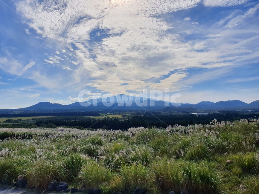 제주도,한라산,jeju,hanllamountain,nature,자연,가을,fall,autumn
