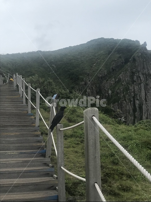 제주한라산,한라산,영실탐방로,백록담,윗세오름,까마귀