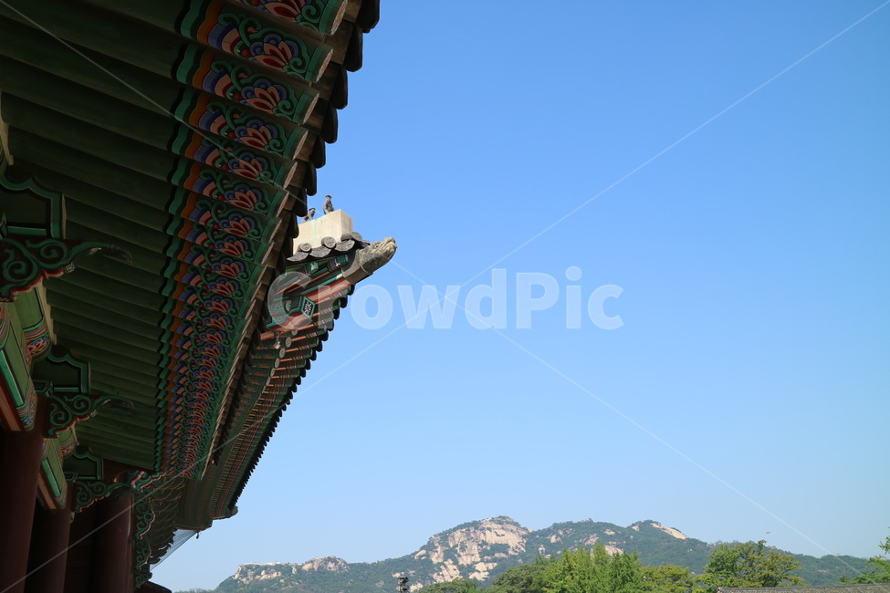 궁전,고궁,한국,한국전통,건축,건물,동양건축,전통가옥,한옥,문화재,대한민국,전통,민속,한국전통,한국문화,korean traditional,korean culture,랜드마크,landmark,tourist attraction,한국랜드마크,한국관광지,한국명소,korea landmark,korea tourist attraction,건축물,건물외관,exterior,building,structure,architecture,construction