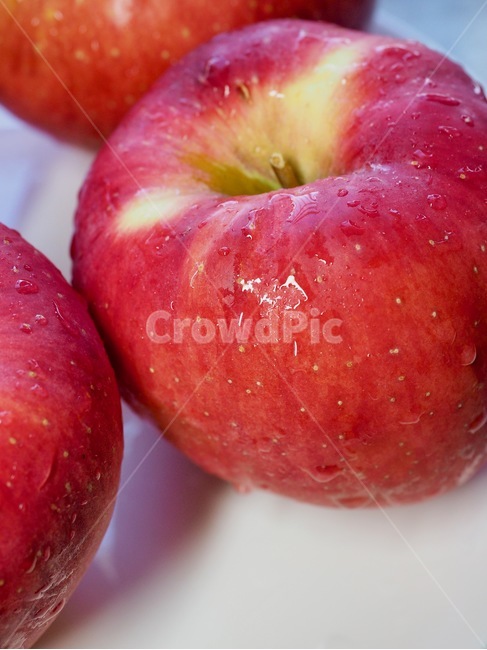 사과,과일,빨강,빨강사과,가을사과,유기농,유기농과일,유기농사과,웰빙,음식,apple,fruit,red,redapple,applefruit,organic,organicfruit,organicapples,wellbeing,food,음식,식재료,요리,food,cook,meal,dishes,food reserves,과일,열매,fruit