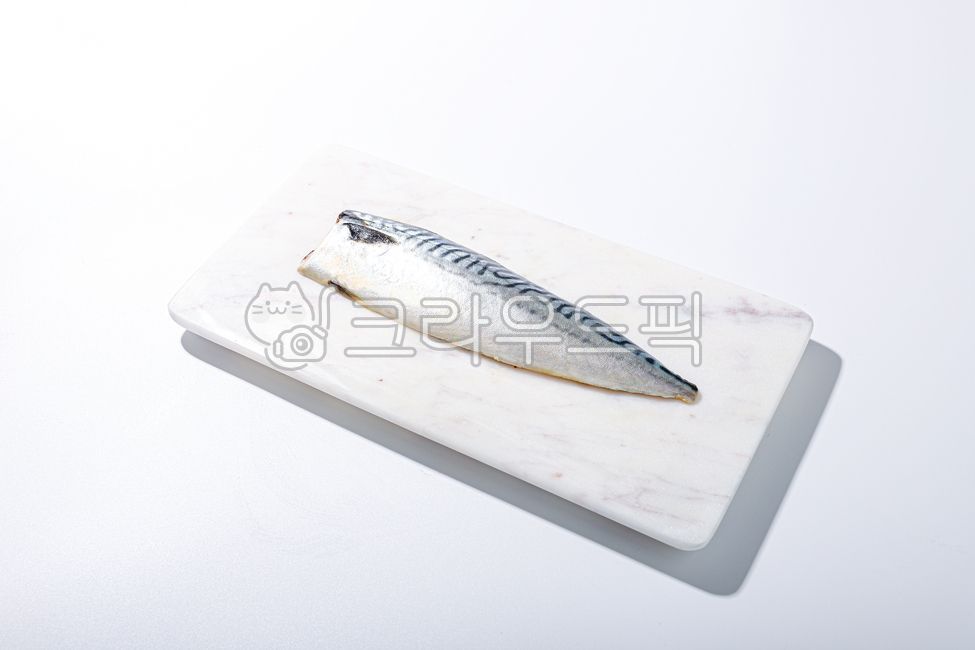 고등어,수산물,노르웨이고등어,생물,원물,음식,식재료,요리,food,cook,meal,dishes,food reserves,수산물,해산물,fishery products,seafood