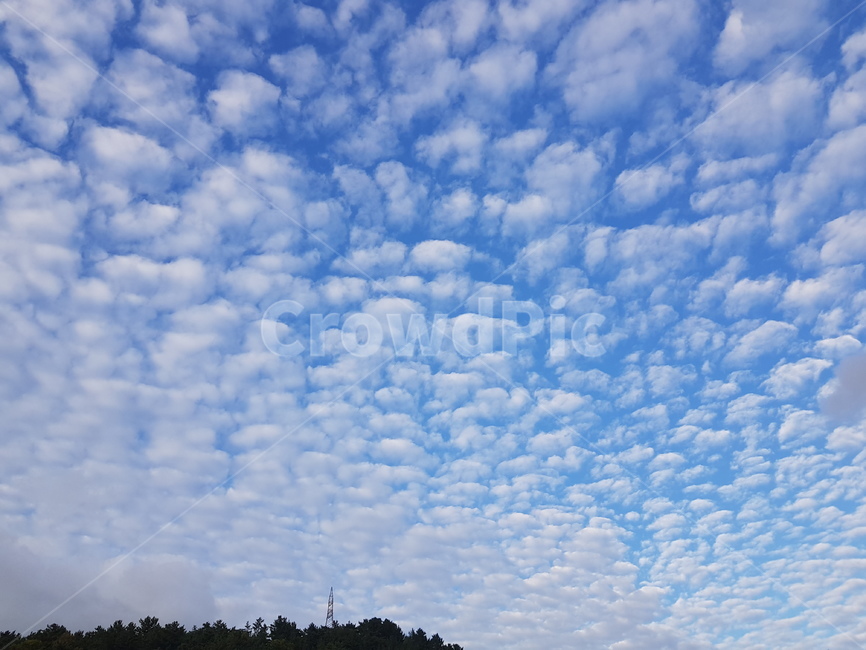 구름,양털구름,양떼구름,하늘구름,지진운,자연,풍경,nature,landscape,outdoors,옥외,weather,날씨,cloud,sky,하늘,cumulus,적운