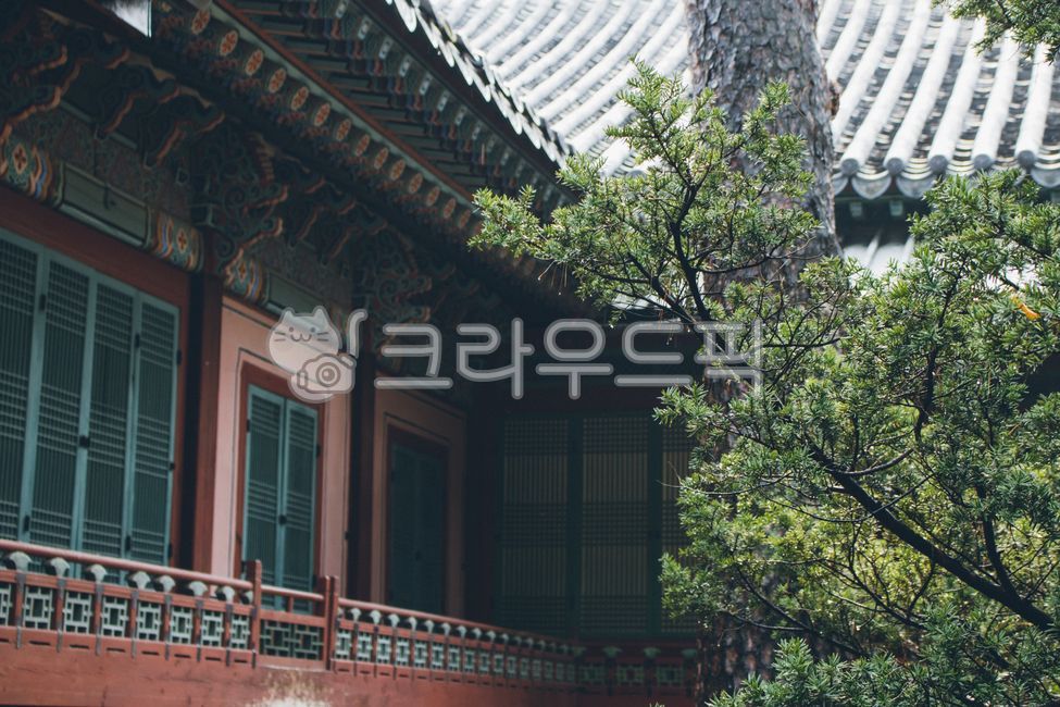 창덕궁,기와,한국기와,한국궁,koreaplace,건축물,건물,한국전통,비오는날,소나무