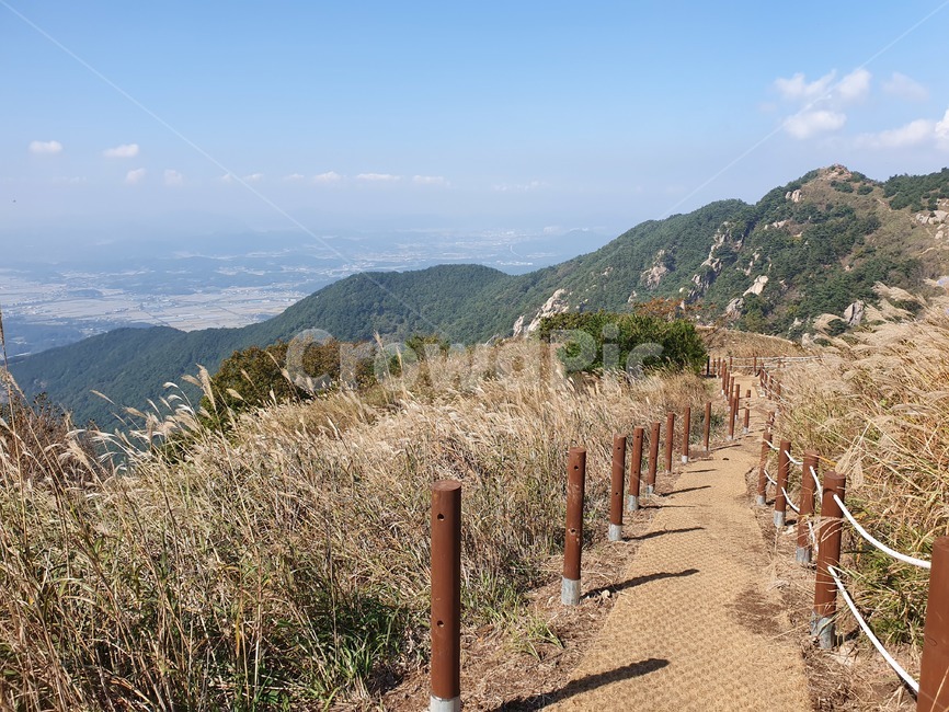 흙길,오솔길,억새밭,산책로,언덕,산정상,언덕길,자연풍경,화왕산,산책길,field,식물,억새,난간,오르막길,갈대,구름,nature,자연,outdoors,옥외,자연,풍경,nature,landscape