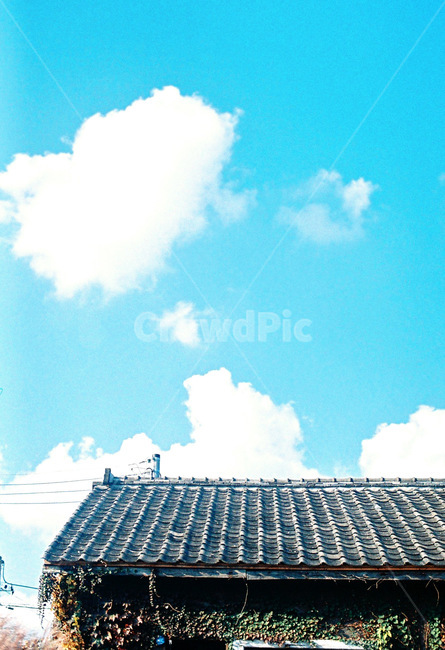 감성,가을길,산책,가을풍경,휴식,건축물,건물외관,exterior,building,structure,architecture,construction
