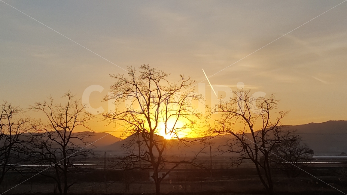 노을,나무,풍경,자연,일출,sunrise,nature,landscape,자연,풍경,nature,landscape,시골,마을,country,rural,town,outdoors,옥외,sky,하늘