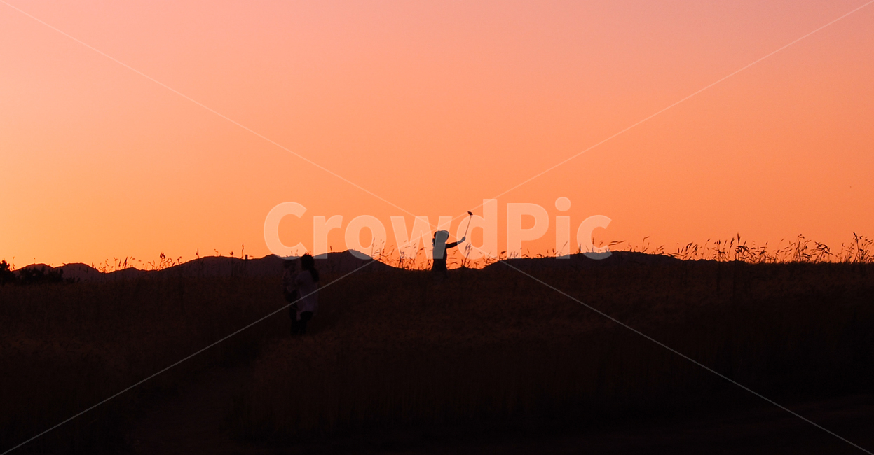 배경화면,가을,보리,감성,노을