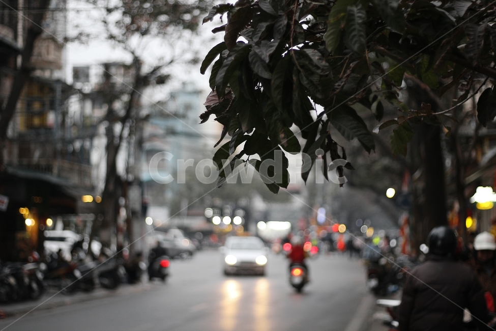 베트남,하노이,car,차,transportation,교통,vehicle,차량,자동차,도로,road