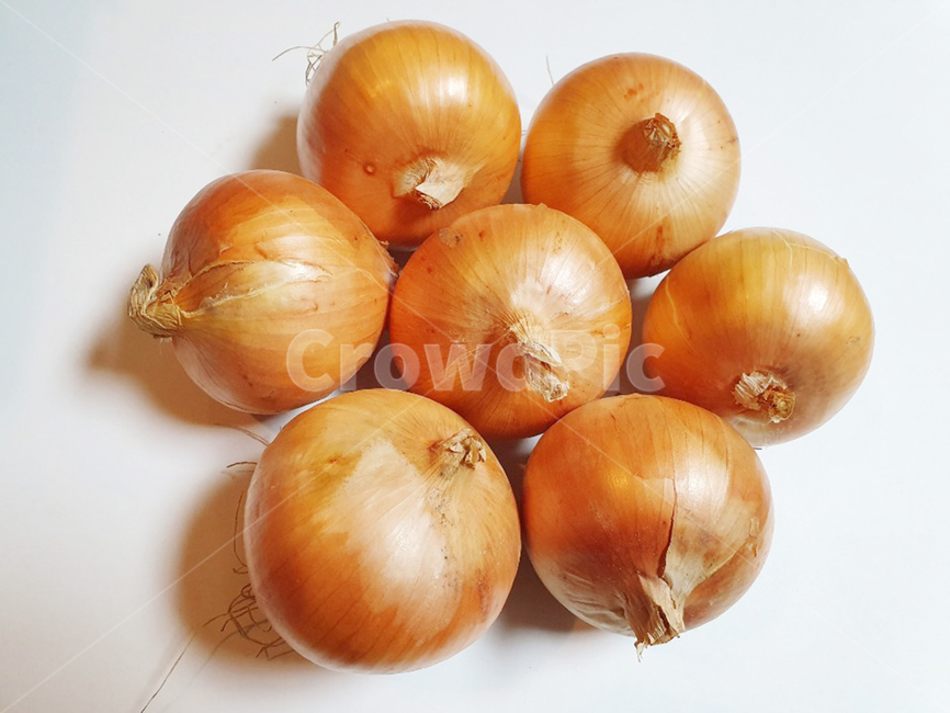 음식,food,onion,양파,야채,vegetable,음식재료,음식,식재료,요리,food,cook,meal,dishes,food reserves