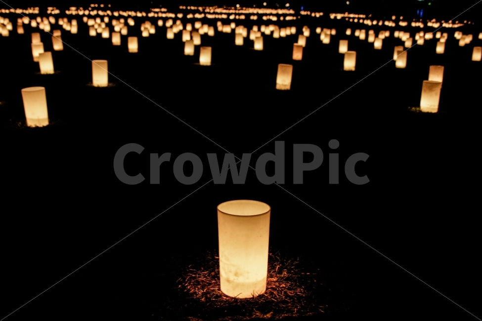 일본,등불,축제,풍경,나라,불교,야경,밤,풍경,nightscape,night,landscape,종교,신앙,religion,belief,faith,축제,행사,festival,carnival,event