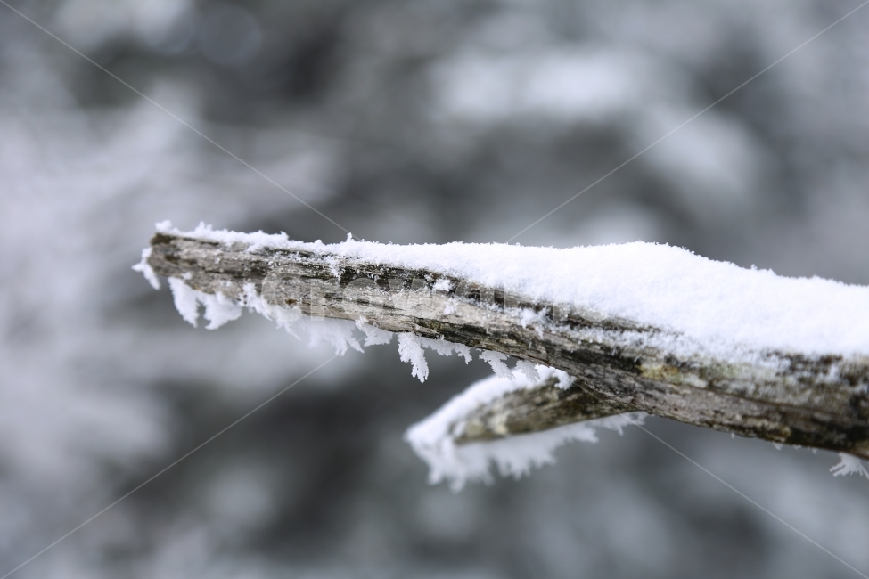 겨울,눈꽃,나뭇가지,설경,덕유산,겨울덕유산,눈,겨울사진,겨울풍경,겨울,계절,winter,season,식물,자연,plants,nature