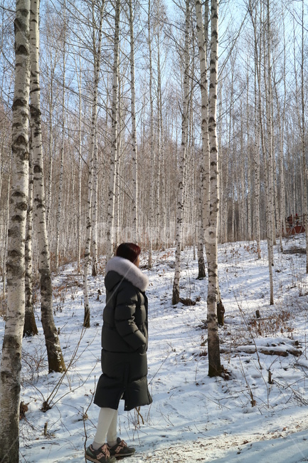 birch tree,Inje,white pants,woman,snowfield,long padding,sneakers,winter,Birch forest,tall tree,trees,Gangwondo,snow,person