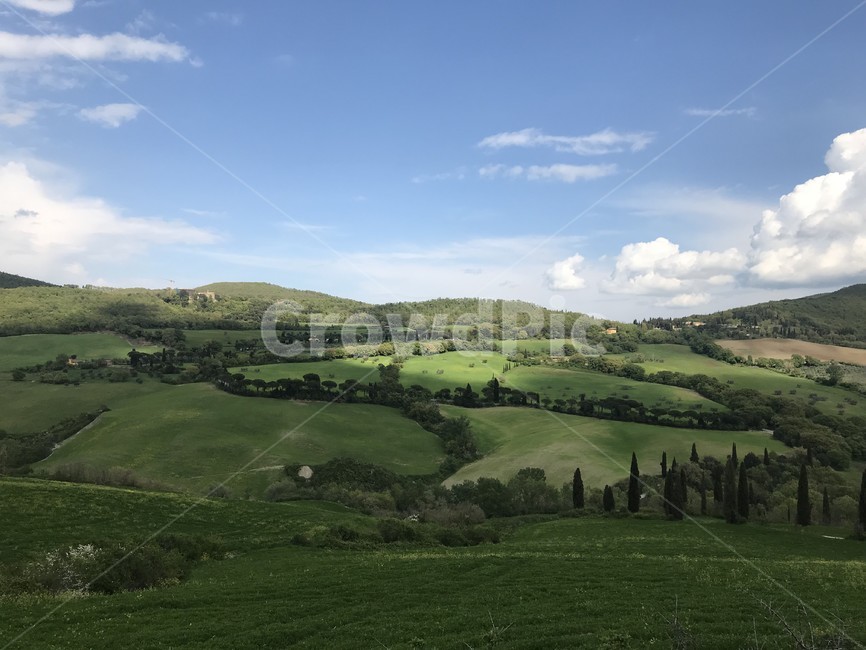 토스카나,toscana,투스카니,풀,이탈리아,이태리,italia,italy,자연,풍경,해외,nature,발도르차,초록,나무,tuscany,소도시,구름,하늘,자연,풍경,nature,landscape,해외,외국,세계,foreign,oversea,world,세계자연풍경,해외자연풍경,외국자연풍경,world nature landscape,outdoors,옥외,hill,언덕