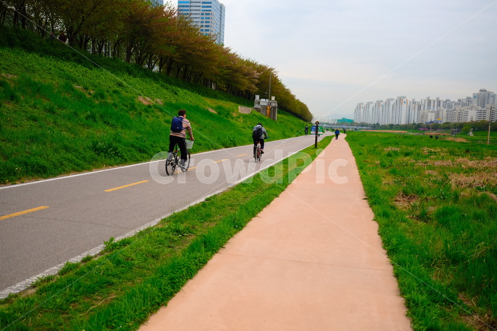 산책,공원,자전거,안양천,봄,도시,풍경,city,landscape,bike,transportation,교통,bicycle,vehicle,차량,path,통로
