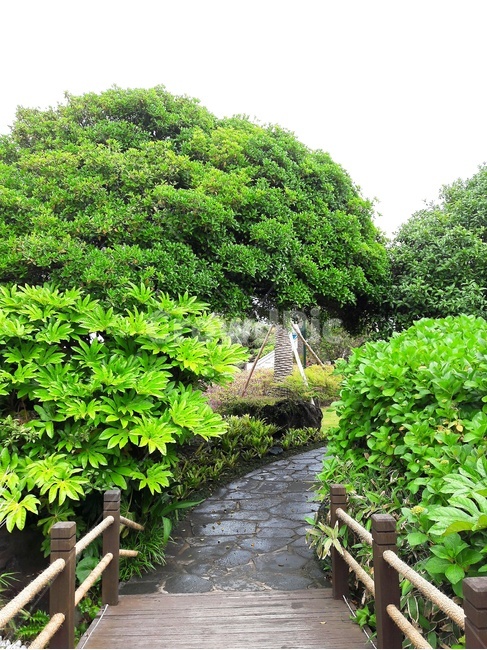 숲속길,나무,자연,산책,힐링,자연,풍경,nature,landscape,outdoors,옥외,vegetation,초목,plant,식물,garden,정원,arbour,정자,jar,항아리,potted plant,화분,pottery,도기류