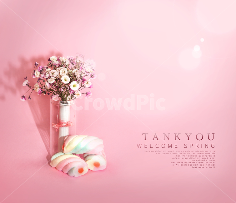 꽃,안개꽃,마시멜로우,표지,전단지,브로슈어,카달로그,꽃,flower,실내용화초,화분,화초,house plant,그래픽,일러스트레이션,graphic,illustration
