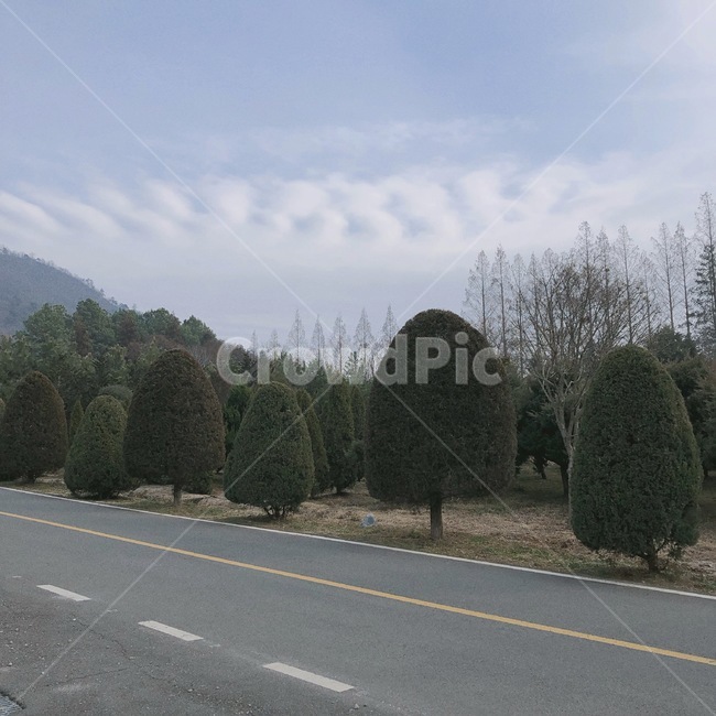나무,풍경,길,가을,하늘,자연,풍경,nature,landscape,road,도로,freeway,고속 도로,highway,고속도로,asphalt,아스팔트